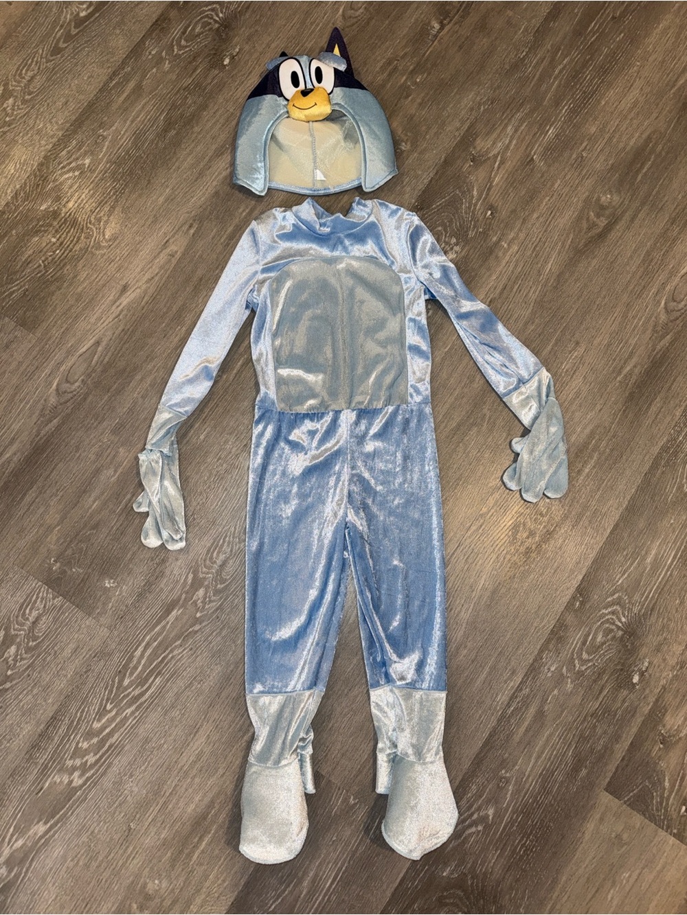 3/4T Bluey costume